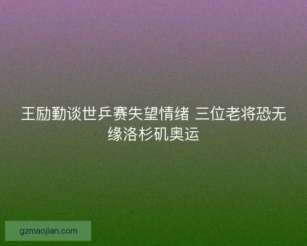 王励勤谈世乒赛失望情绪 三位老将恐无缘洛杉矶奥运