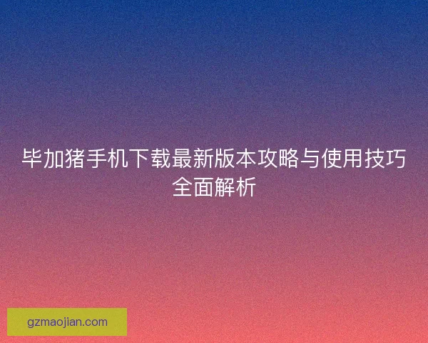 毕加猪手机下载最新版本攻略与使用技巧全面解析